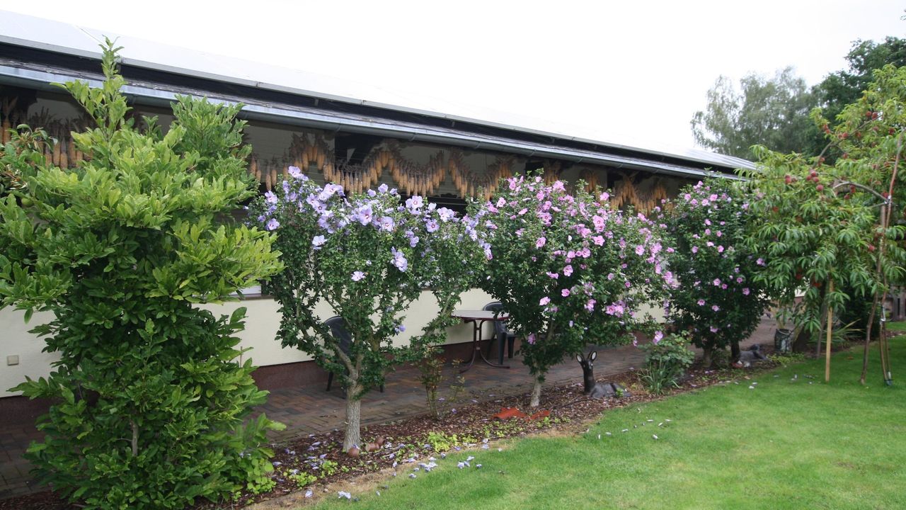 ExteriorSummer ExteriorSummer